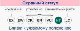охранный статус белуха