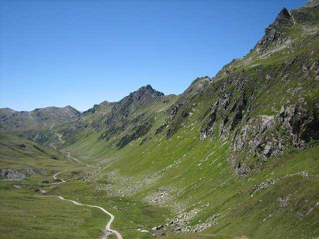 Природа, флора и фауна Австрии — характеристика и фото