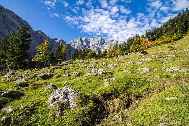 Природа, флора и фауна Австрии — характеристика и фото