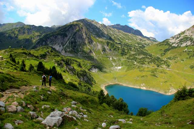 Природа, флора и фауна Австрии — характеристика и фото