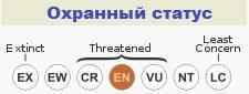 Охранный статус, бык Бантенг, МСОП
