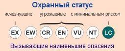 кит малый полосатик - охранный статус