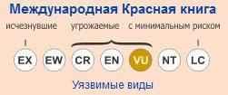 охранный-статус-МСОП-газель-доркас