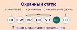 ohrannyj-status-dlinnohvostoj-koshki-ili-margaj