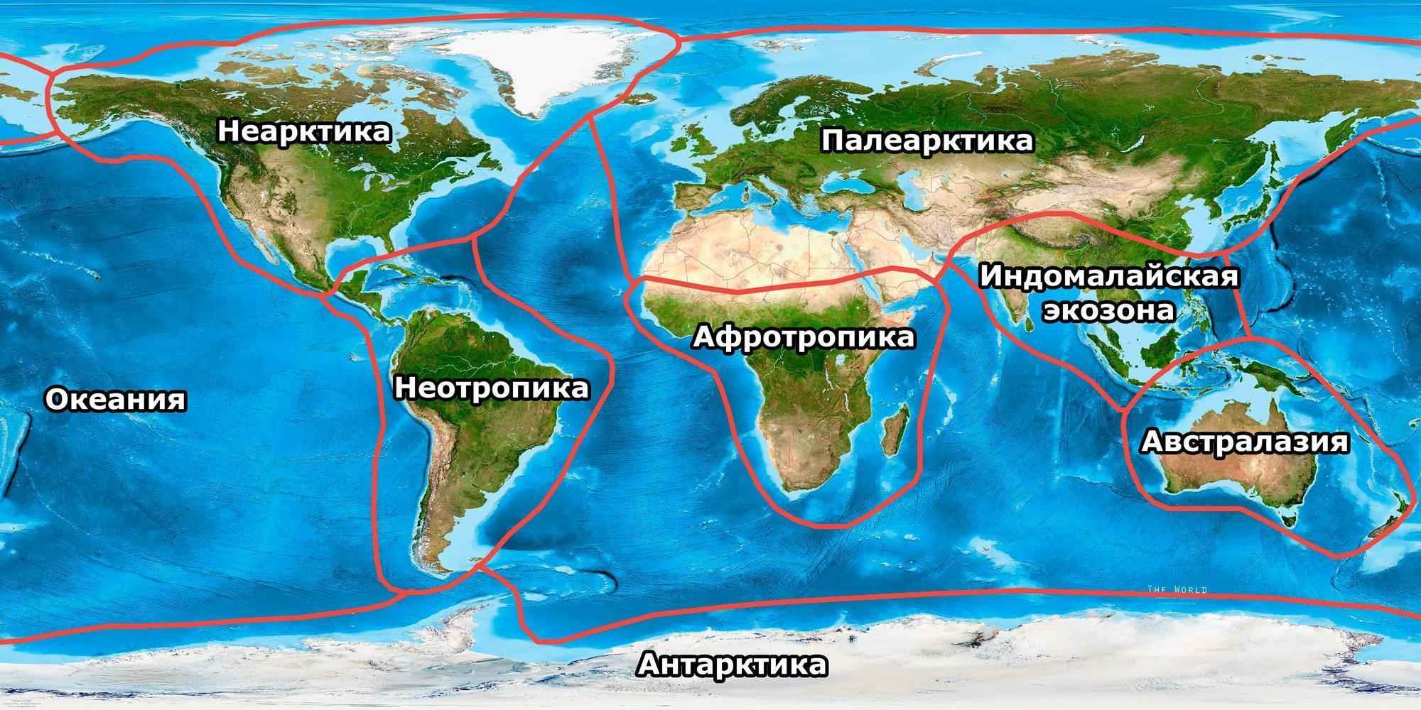 Экозоны, царства, биогеографические зоны, мир, планета, Земля, карта, схема, границы, названия, Неарктика, Палеарктика, Афротропика, Индомалайская зона, Австралазия, Неотропики, Океания, Антарктика