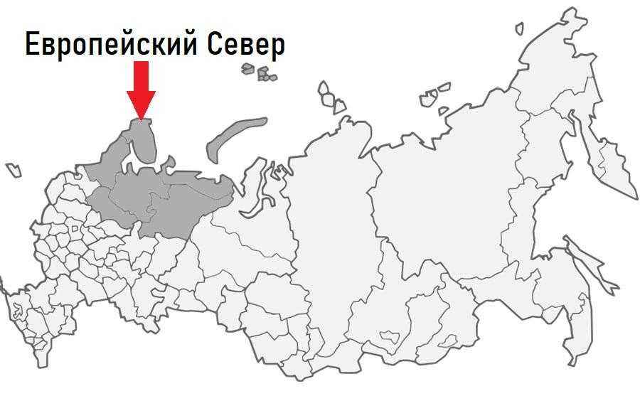 Какими видами природных ресурсов богат Европейский Север?