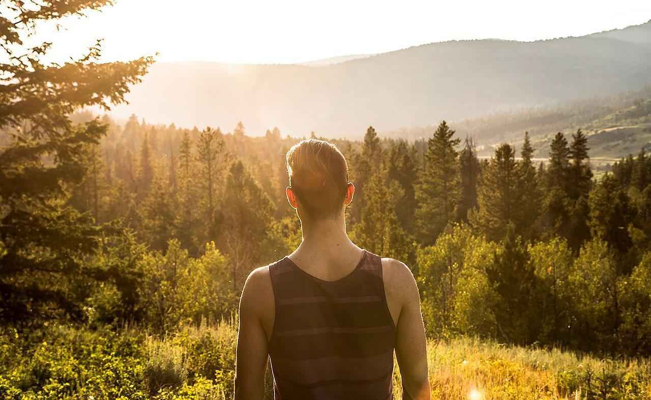 5 профессий для любителей дикой природы