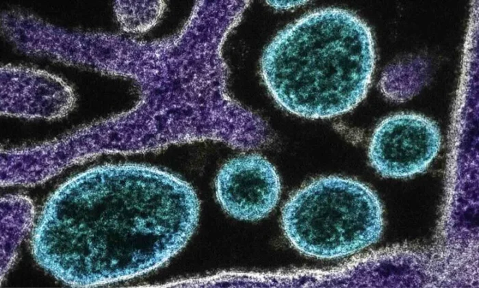 Ученые изучили 37 000 лет истории инфекционных болезней, чтобы помочь человечеству подготовиться к будущему