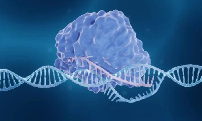 Редактирование генов CRISPR вырезает ВИЧ из клеток