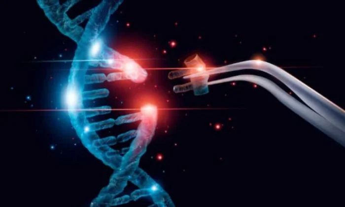 CRISPR против воспалений: генная терапия успешно лечит опасную болезнь